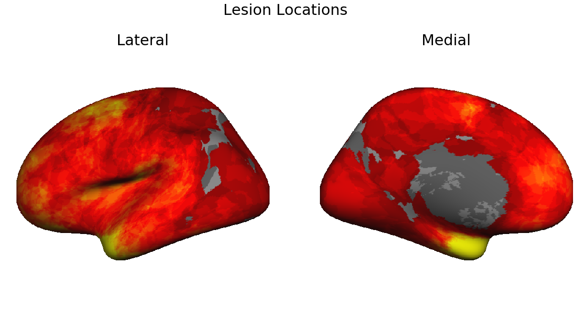 Lesion Locations